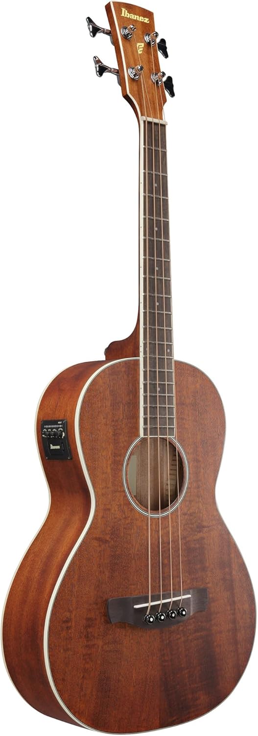 Ibanez PNB14E Acoustic-Electric Bass Guitar - Open Pore Natural Bundle with Gig Bag, Tuner, Strap, Instrument Cable, Austin Bazaar Instructional DVD, and Polishing Cloth