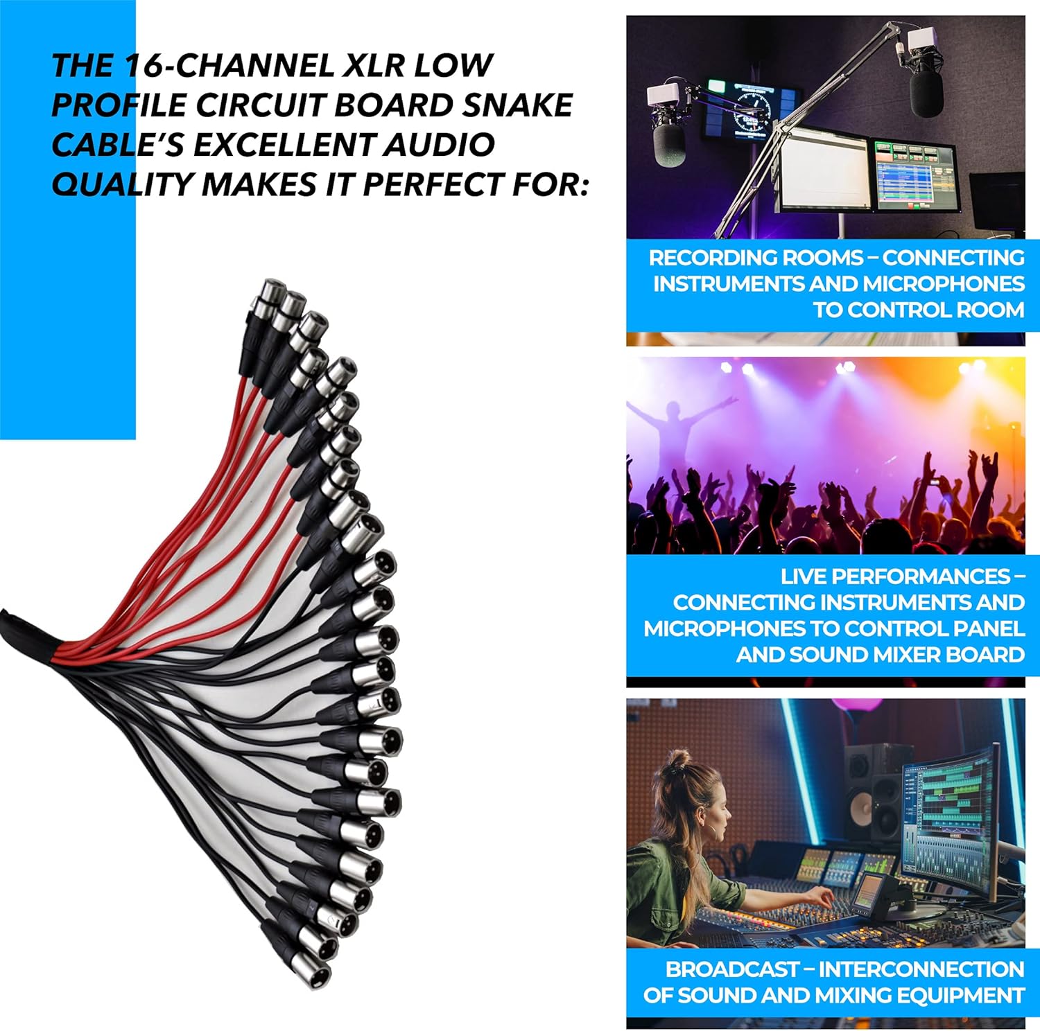 Seismic Audio Speakers 16 Channel Low Profile XLR Send Circuit Board Snake Cable, XLR Splitter Cable, 100 Feet