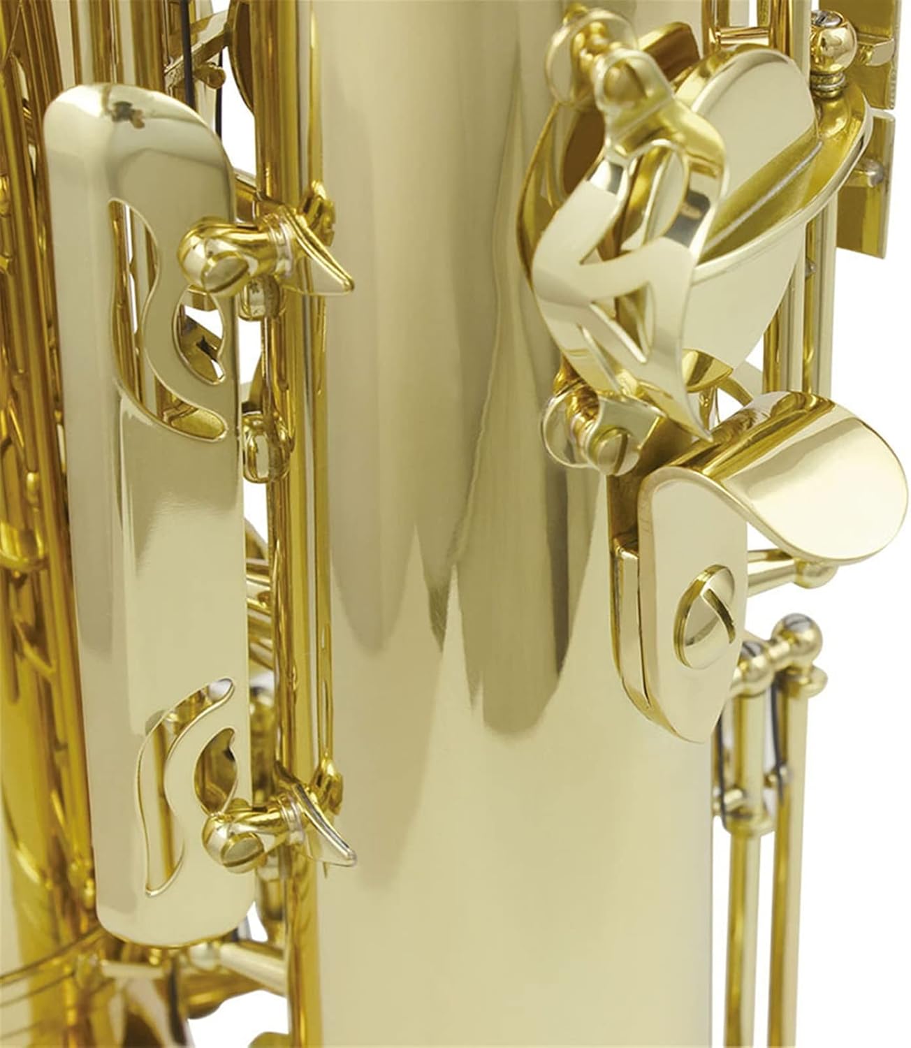 Sax Beginners Kit Professional Bb Tenor Saxophone Brass Lacquered Gold B Flat Sax Musical Woodwind Instrument with Case Mouthpiece Accessories Wind Instrument