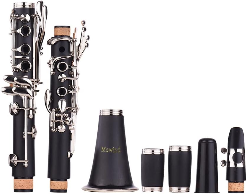 Bb Flat Clarinet - 17 Key Beginner Student Woodwind Instrument with 2 Barrels and Carry Case, Includes Cleaning Kit