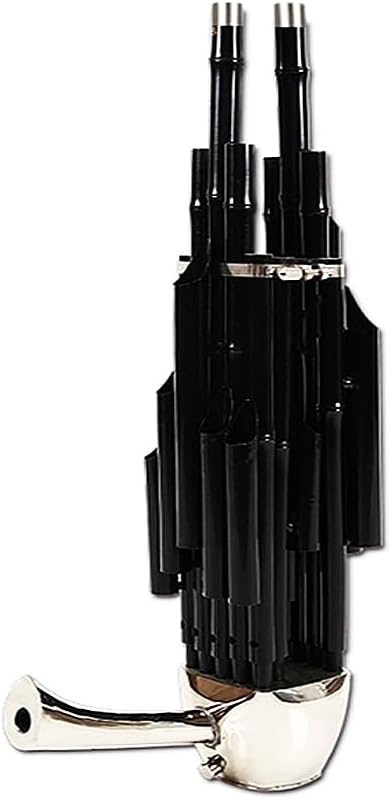 14-Spring Sheng Instrument, A Traditional Chinese Wind Instrument, in The Key of D, with A Brisk Rhythm,B