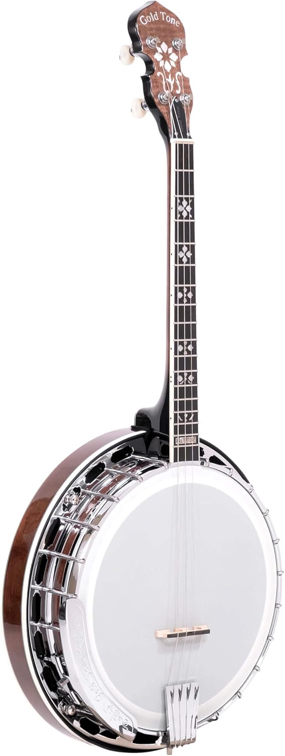 Gold Tone IT-250F Irish Tenor Banjo (Vintage Brown)