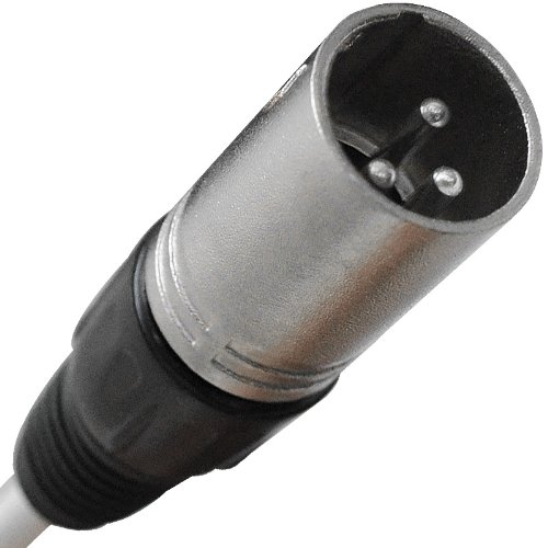 Seismic Audio - SAXQ-12x4x25 - 12 Channel 25' XLR Snake Cable with XLR and 1/4