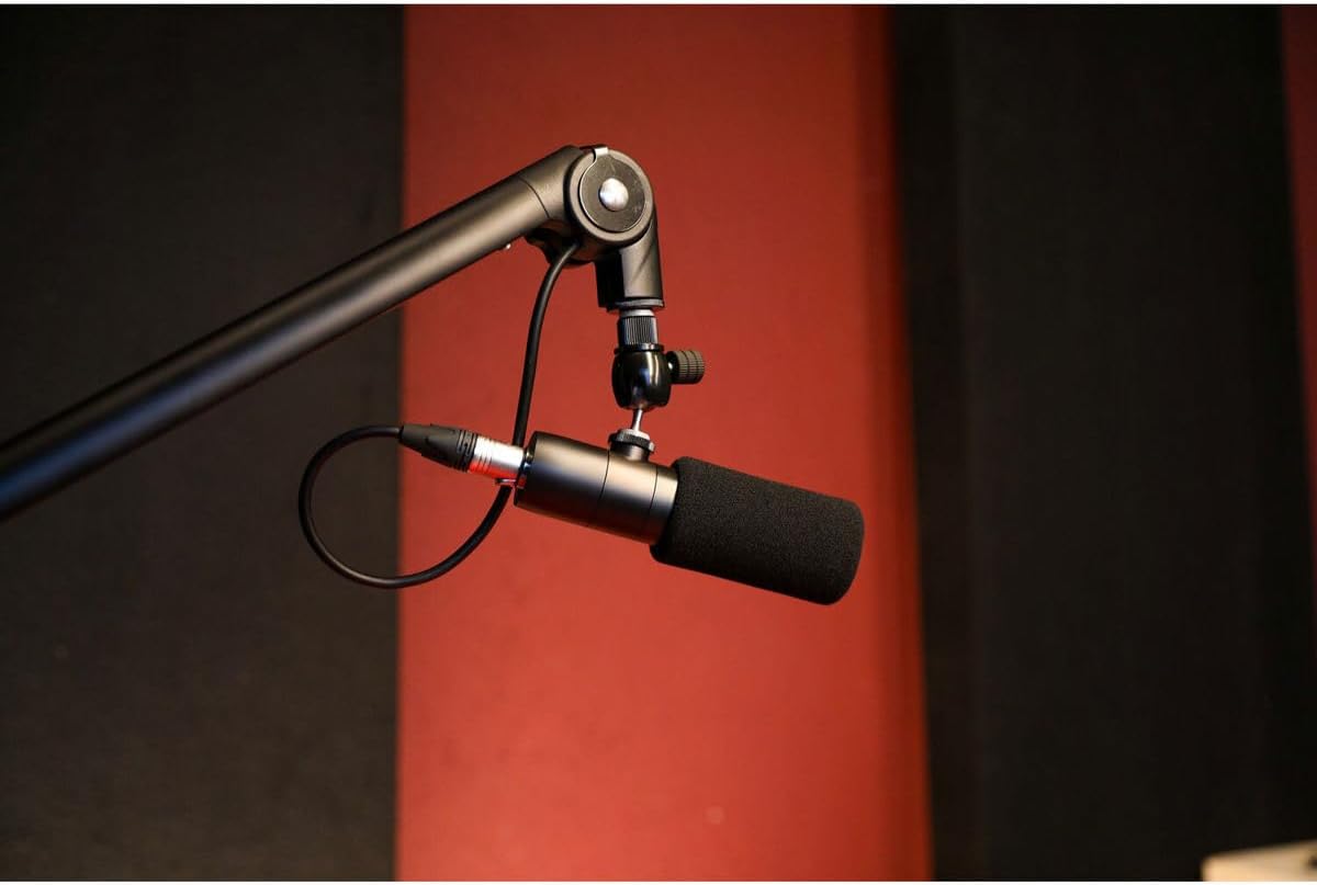 Earthworks ETHOS Condenser Broadcast Microphone - Black