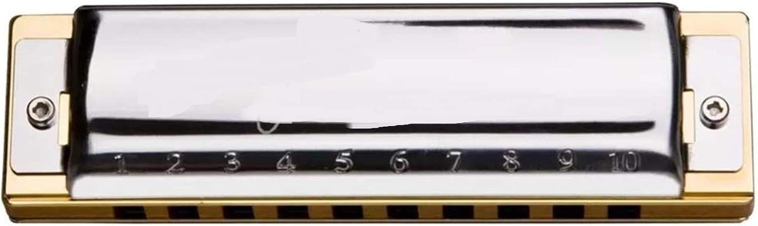 Harmonica Harmonica Blues Harp Diatonic Harmonica 10 Hole 20 Tone Musical Instruments Mouth Organ Key C
