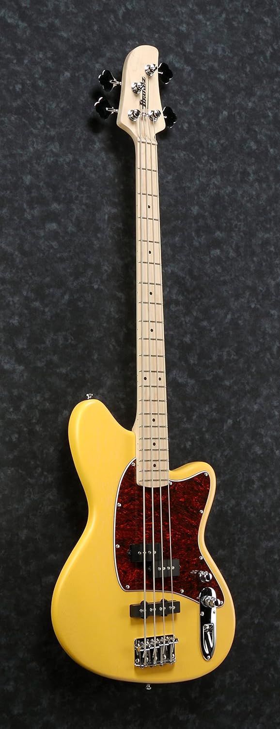 Ibanez TMB100 Meters - Mustard Yellow Flat