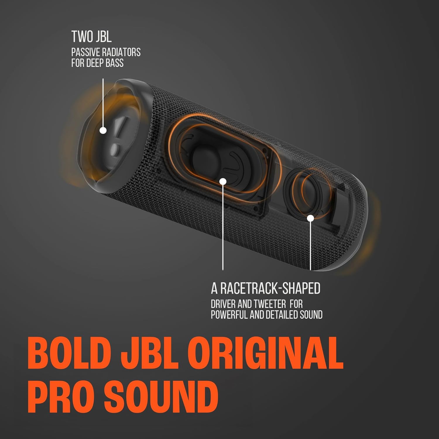JBL Flip 6 (Black) + Bundle with divvi! Protective Hardshell Case