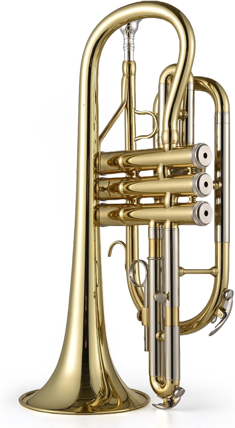 Bb Cornet Brass Instrument Surface Paint Gold Treatment Professional Brass Cornet with Carrying Case Gloves Cleaning Cloth Brushes for Students and Beginners