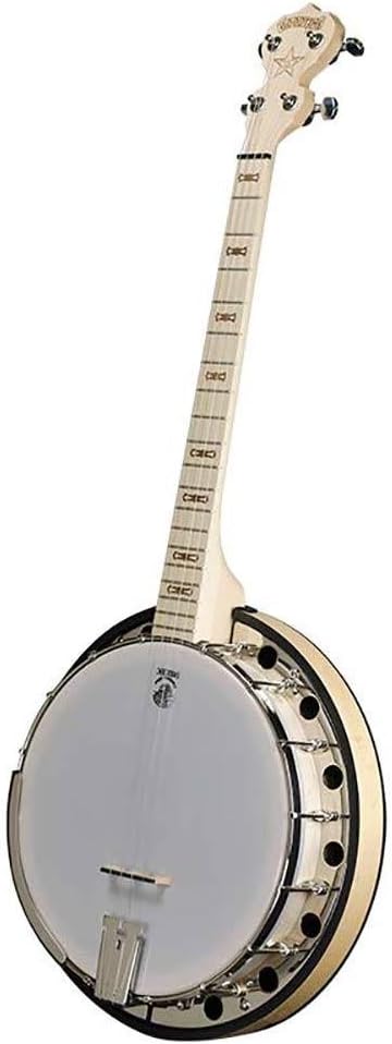 Deering Goodtime 2 19-Fret Tenor Banjo