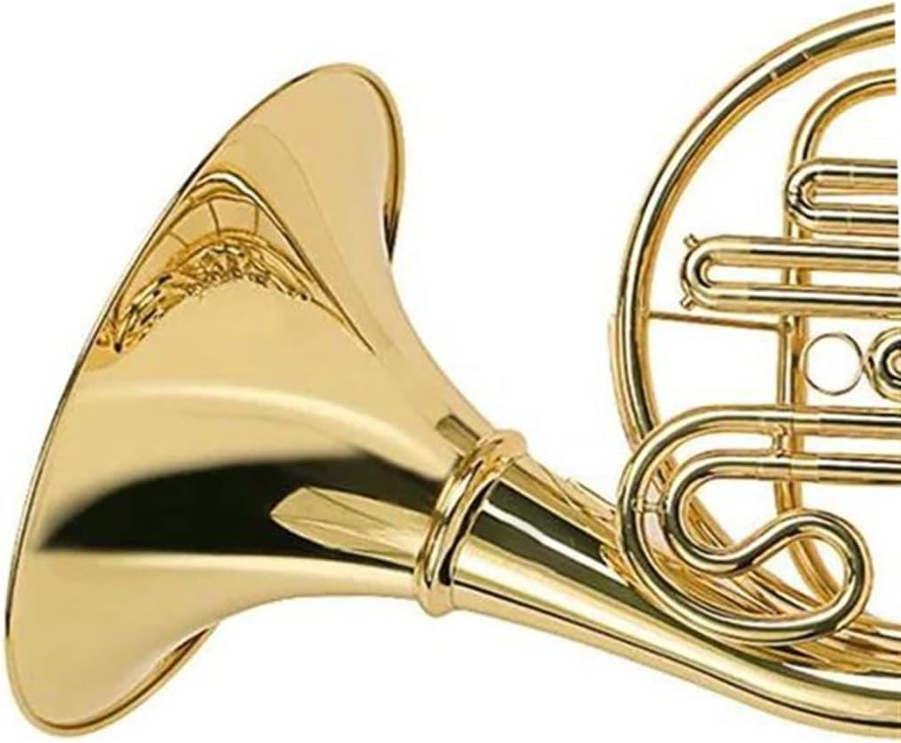 Brass French Horn Wind Instrument Single Key Of Bb Brass French Horn