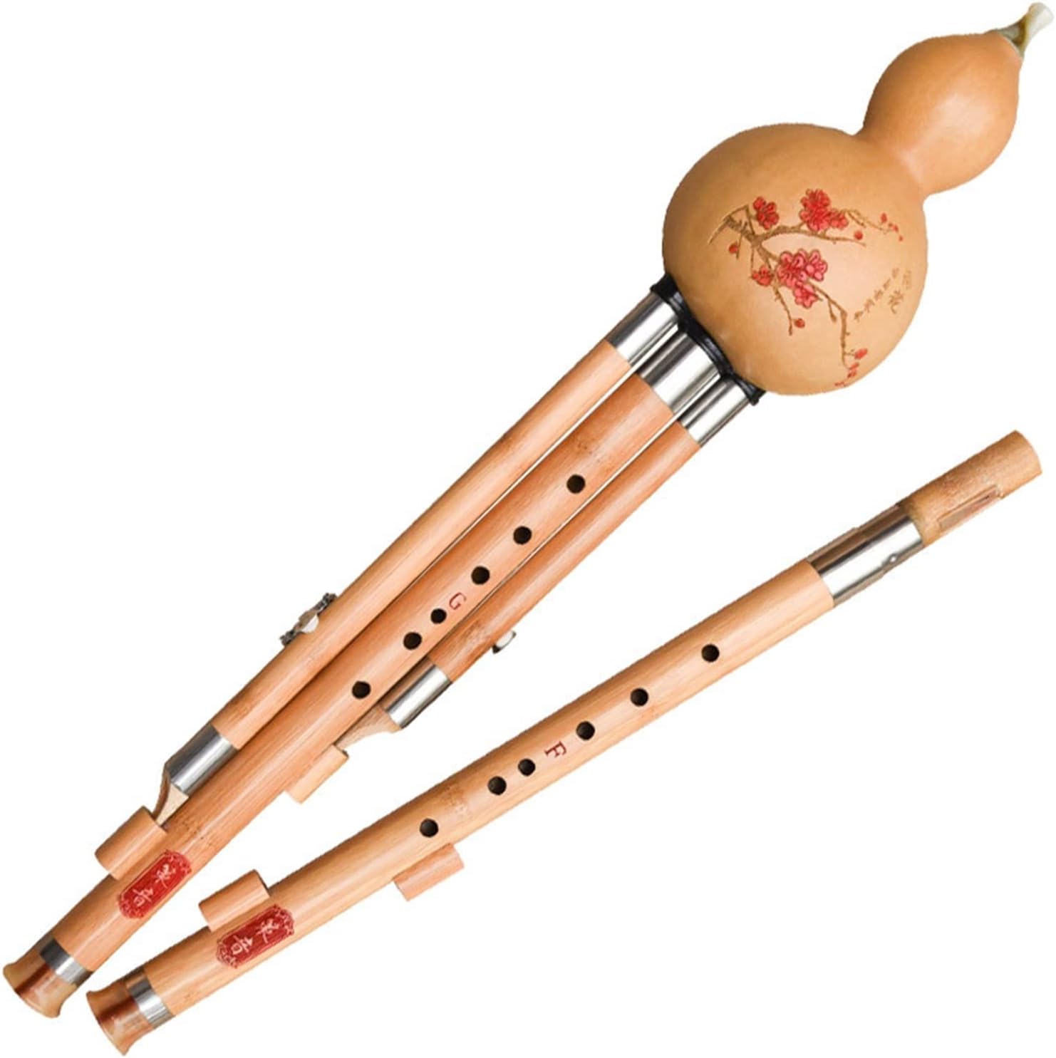 FLFL Hulusi Two-Tone Cucurbit Musical Instrument Performance Since Beginners F+G Drop B+C Blending Box (Color : F+G)