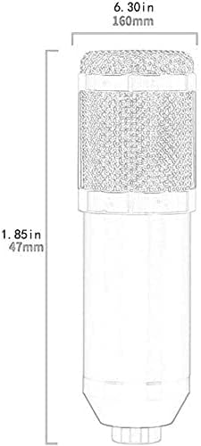 Microphone Kit, Streaming Podcast PC Condenser Computer Mic for Gaming, Recording Music, Voice Over, with Adjustment Arm Stand