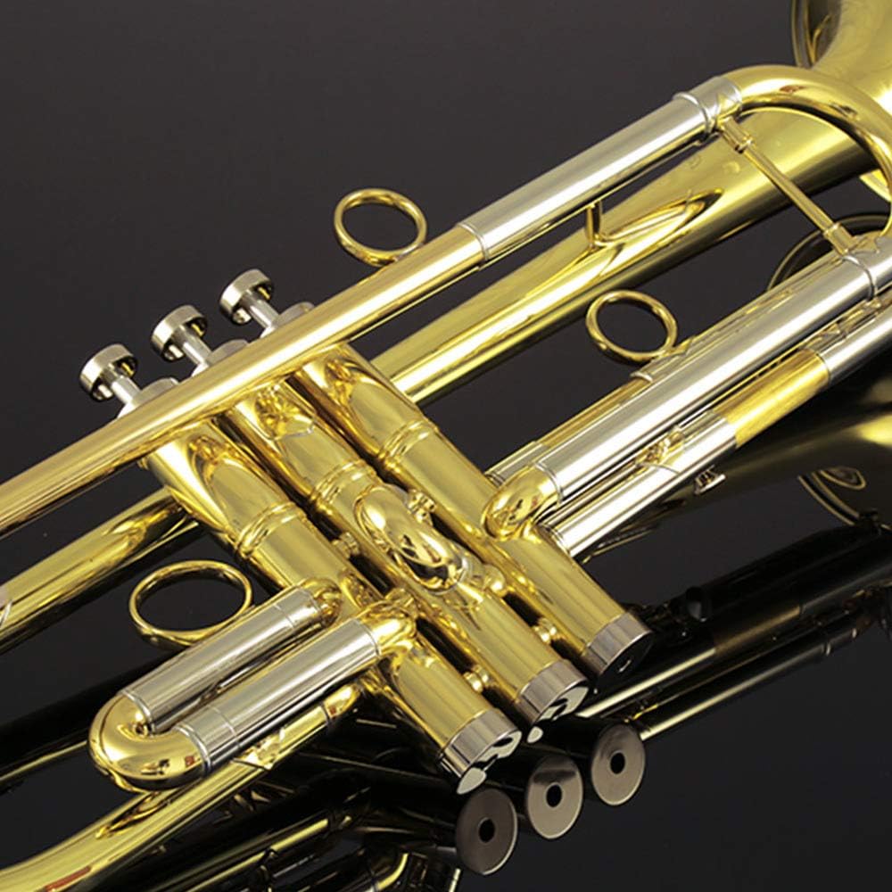 S50 beginner student level brass body gold lacquer Bb tone trumpet