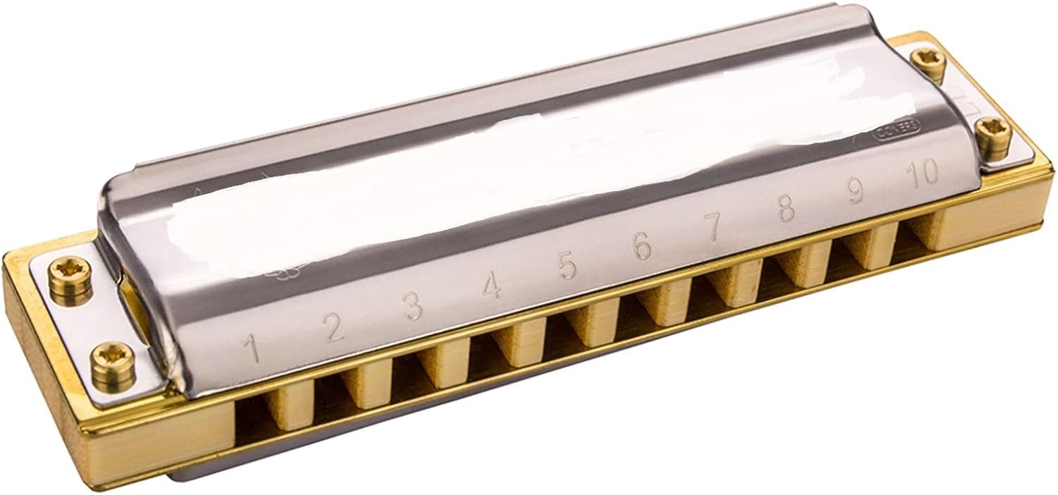 Classic Diatonic Harmonica 10 Hole 20 Tones Blues Harp Mouth Organ Instrumentos Diatonic Key of C Musical Instruments (Color : Key of Low EB)