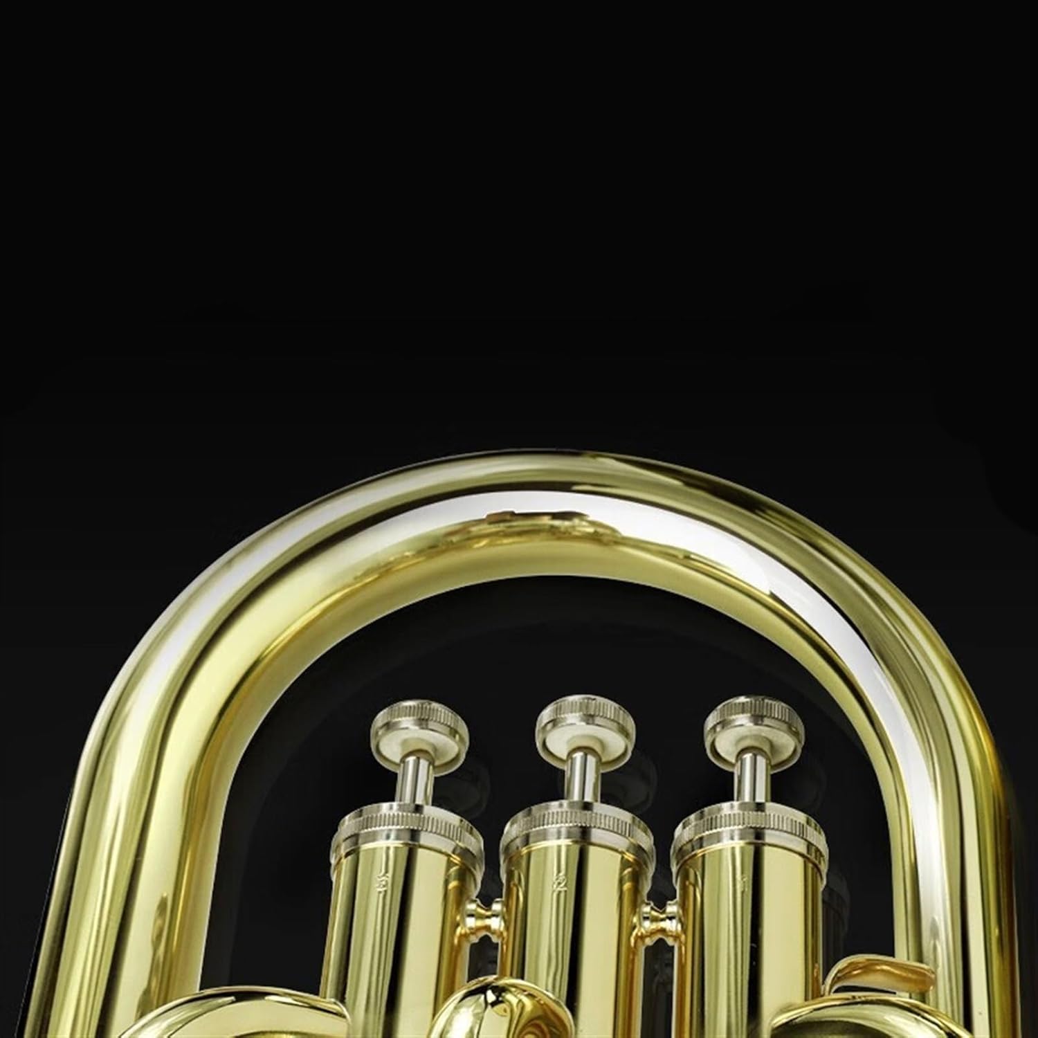 Beginner euphonium Euphonium With Box Brass B Flat Tune