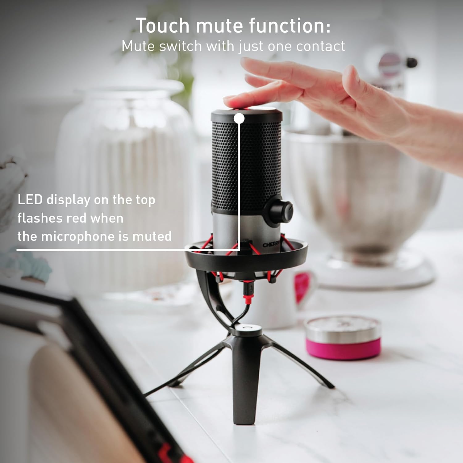 Cherry UM 6.0 Advanced, USB Microphone for Streaming, Podcasts, Home Office, 2 Directional Patterns, Shock-Mount, Compatible with PC/Mac/PS4/PS5, Silver/Black