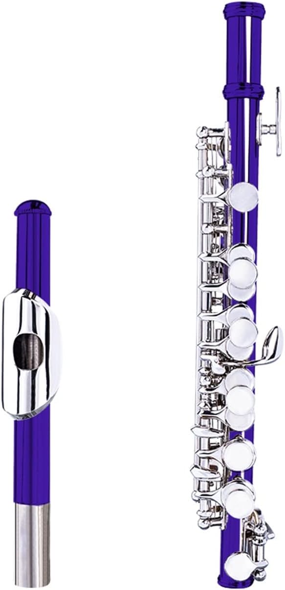 Flutes Half-Size Flute Cupronickel Plated Silver C Key Woodwind Instrument with Gloves