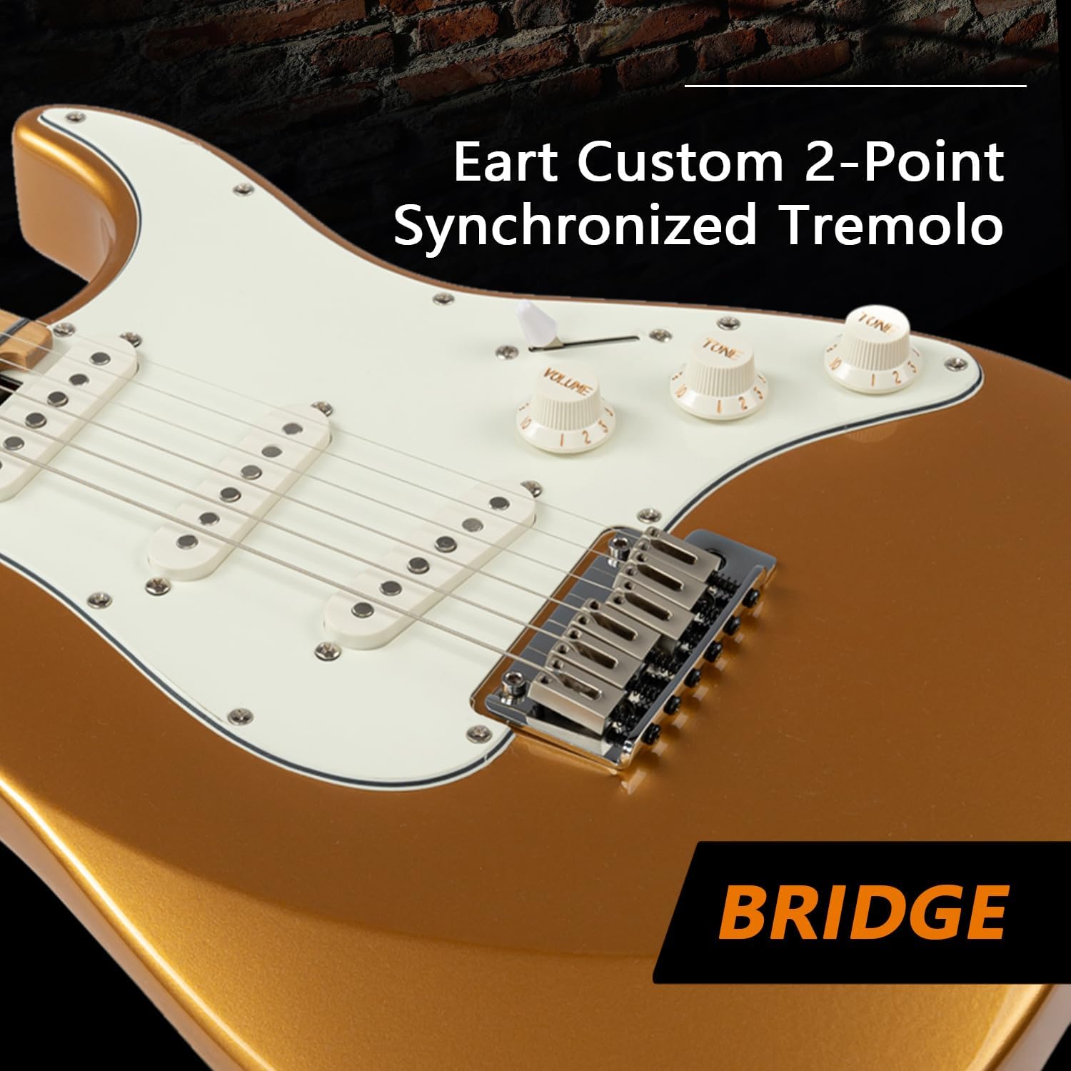 EART NK-VS60 6 String Solid Body Electric Guitar,Roasted Mahogany Body, Full-Size Electric Guitar Alnico-V Pickups, Tremolo System Electric Guitars