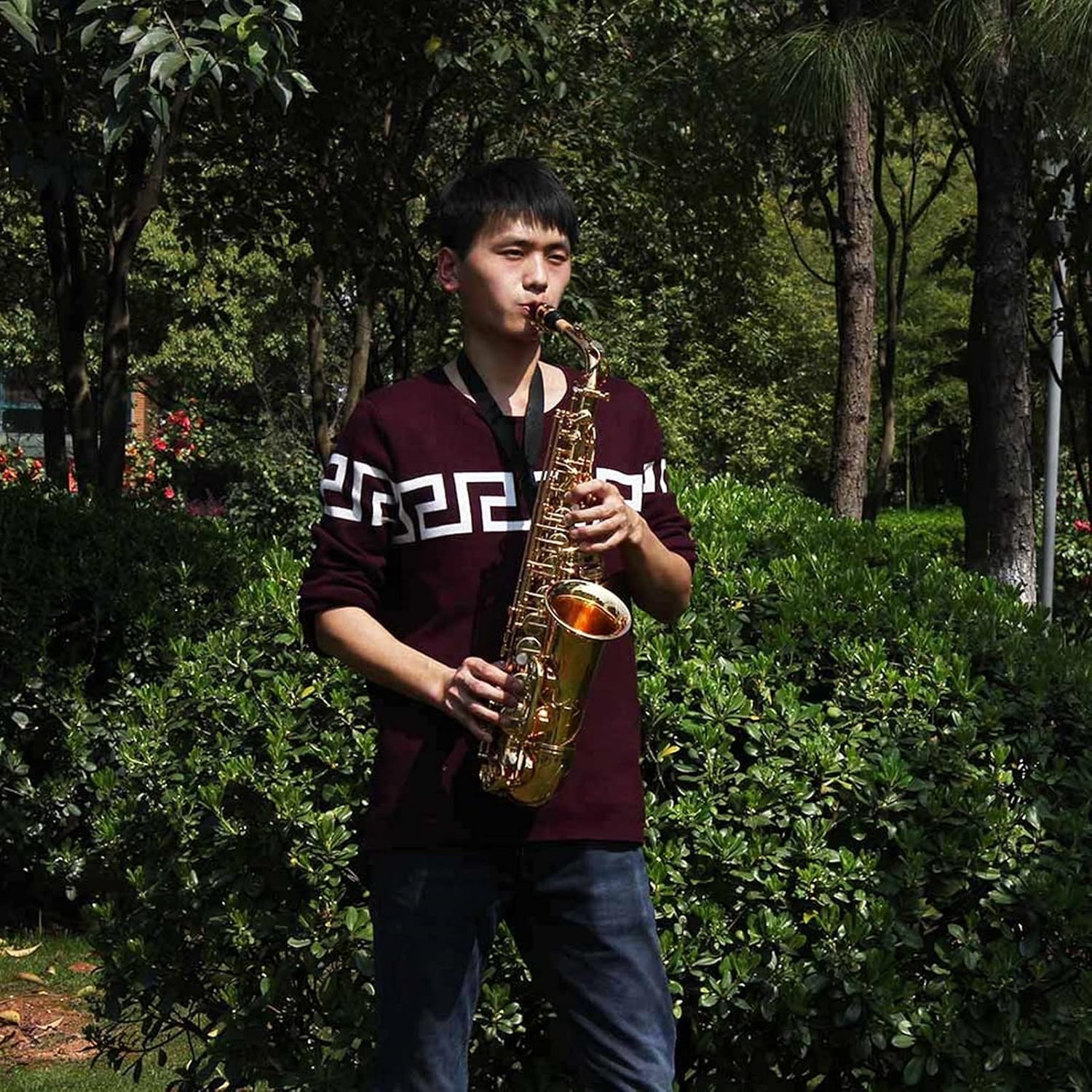 EB Be Alto E Saxophone Flat Brass Carved Pattern Plastic Mouthpiece with Gloves Cleaning Cloth Brush Straps Student Saxophone (Color : Gold)