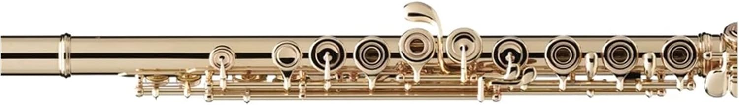 Flutes Flute Silver Plating 17 Holes C Flutes Key Woodwind Instrument Padded (Color : Gold)