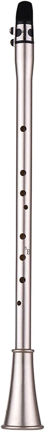 Sax Beginners Kit Bb Key Mini Clarinet Sax Compact Clarinet Saxophone ABS Material Musical Wind Instrument for Beginners with Carry Bag Wind Instrument (Color : Bb Key)