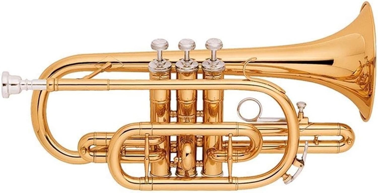Trumpets Beginner Gold Lacquer Brass Body Cupronickel Valves Bb Cornet Trumpet Set