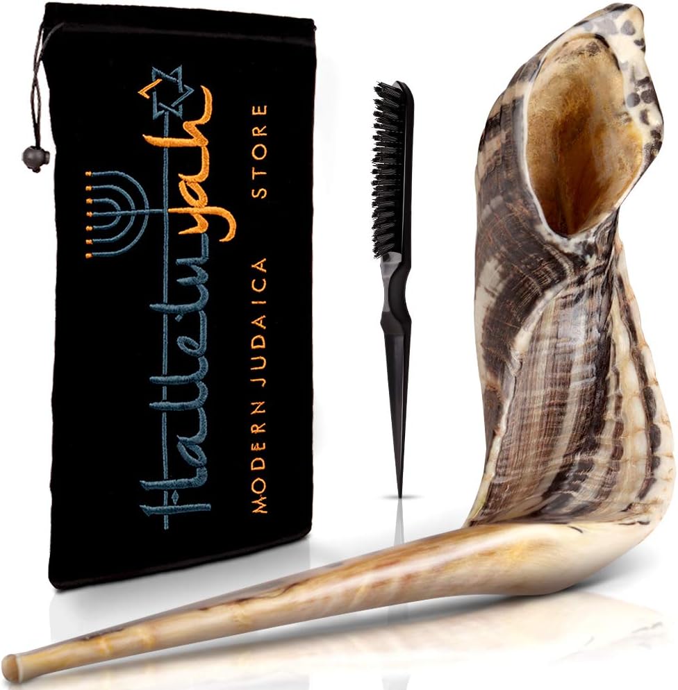 HalleluYAH Shofar From Israel: 20