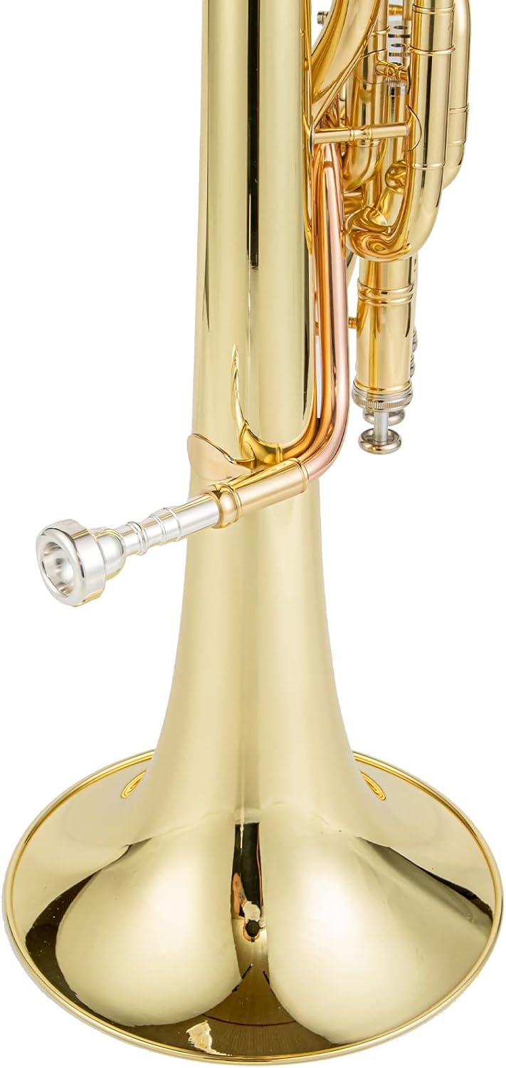 aah-401l alto horn instrument for intermediate players eb alto horn with 3 valves brass bell 10 inch bore 11.65mm silver plated mouthpiece perfect for advancing student musicians