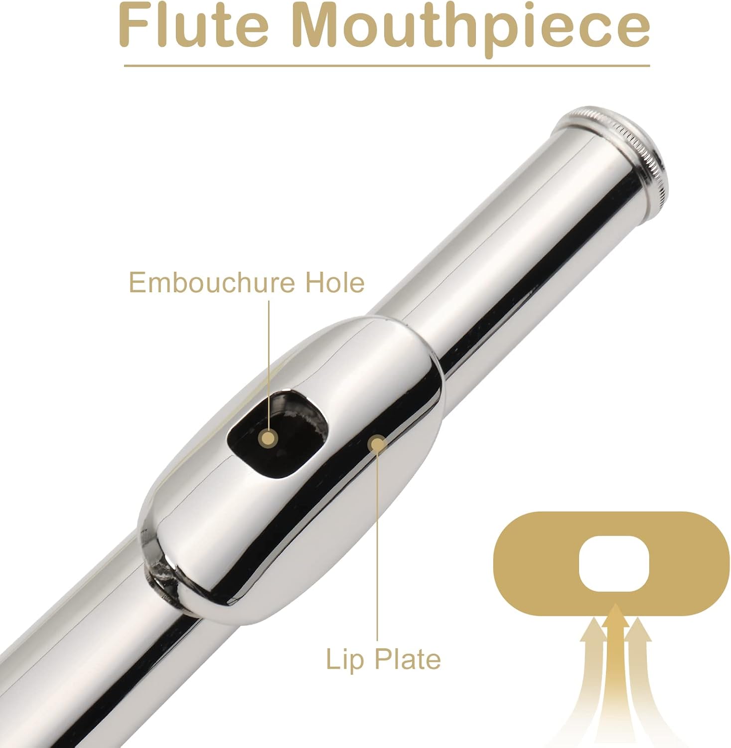 Ktaxon C Flutes with E-split, Orchestra Closed Hole Flute Kit for Beginners & Professionals, 16 Keys Musical Nickel Flute with Hard Case, Cleaning Rod, Cloth, Gloves - Silver