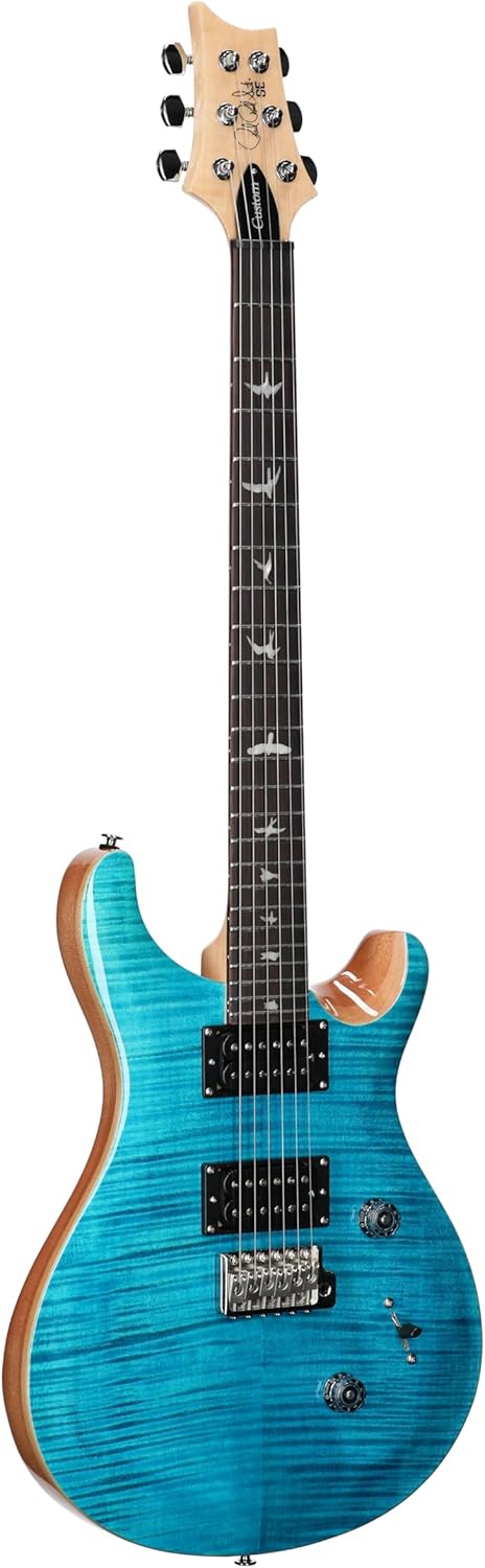 PRS SE Custom 24 Exclusive, Blue Matteo Natural Back