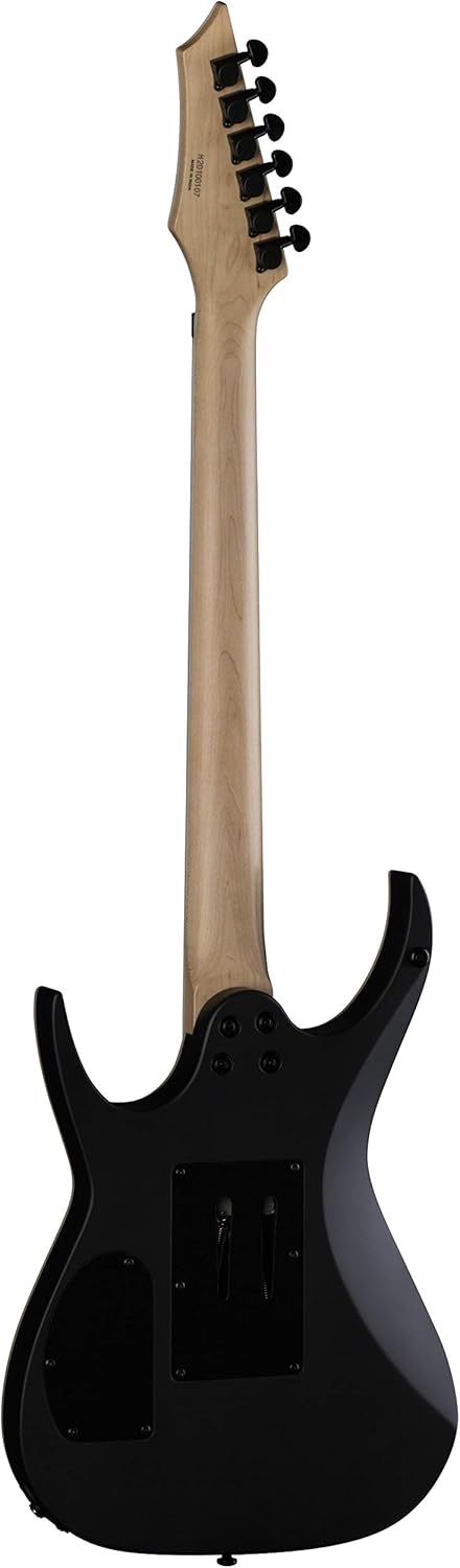 Dean Guitars 6 String Exile X Floyd Electric Guitar, Black Satin, Right, (EXILEX F BKS)