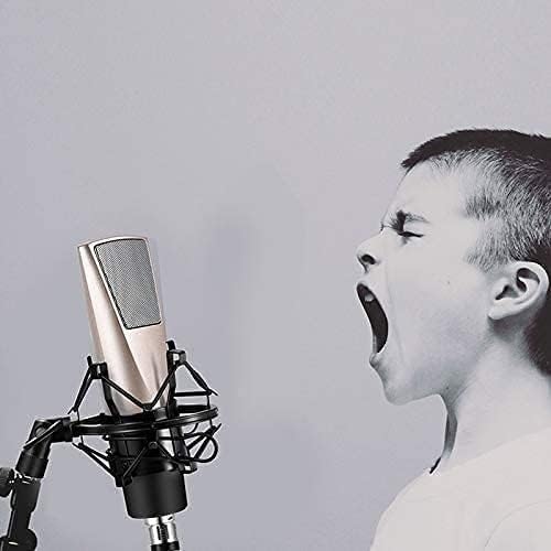 Microphone for PC, Recording Mic Kit for Podcast, Recordings for Streaming,Gaming, Recording Music, Voice Over, Capacitor Live Equipment