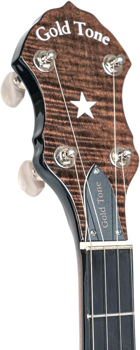 Gold Tone 5-String Open Back Banjo