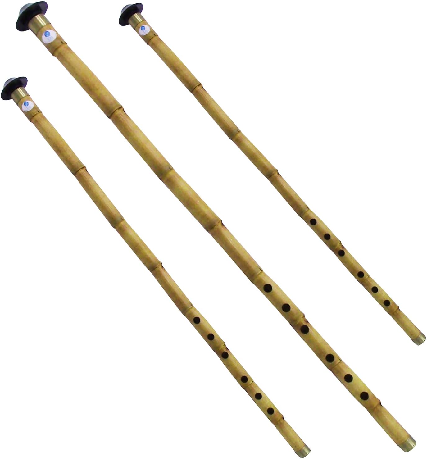 Turkish Reed, Bamboo Nay Nay Woodwind Flute with Protective carry Case (Broom (Re)= 58cm/23'')