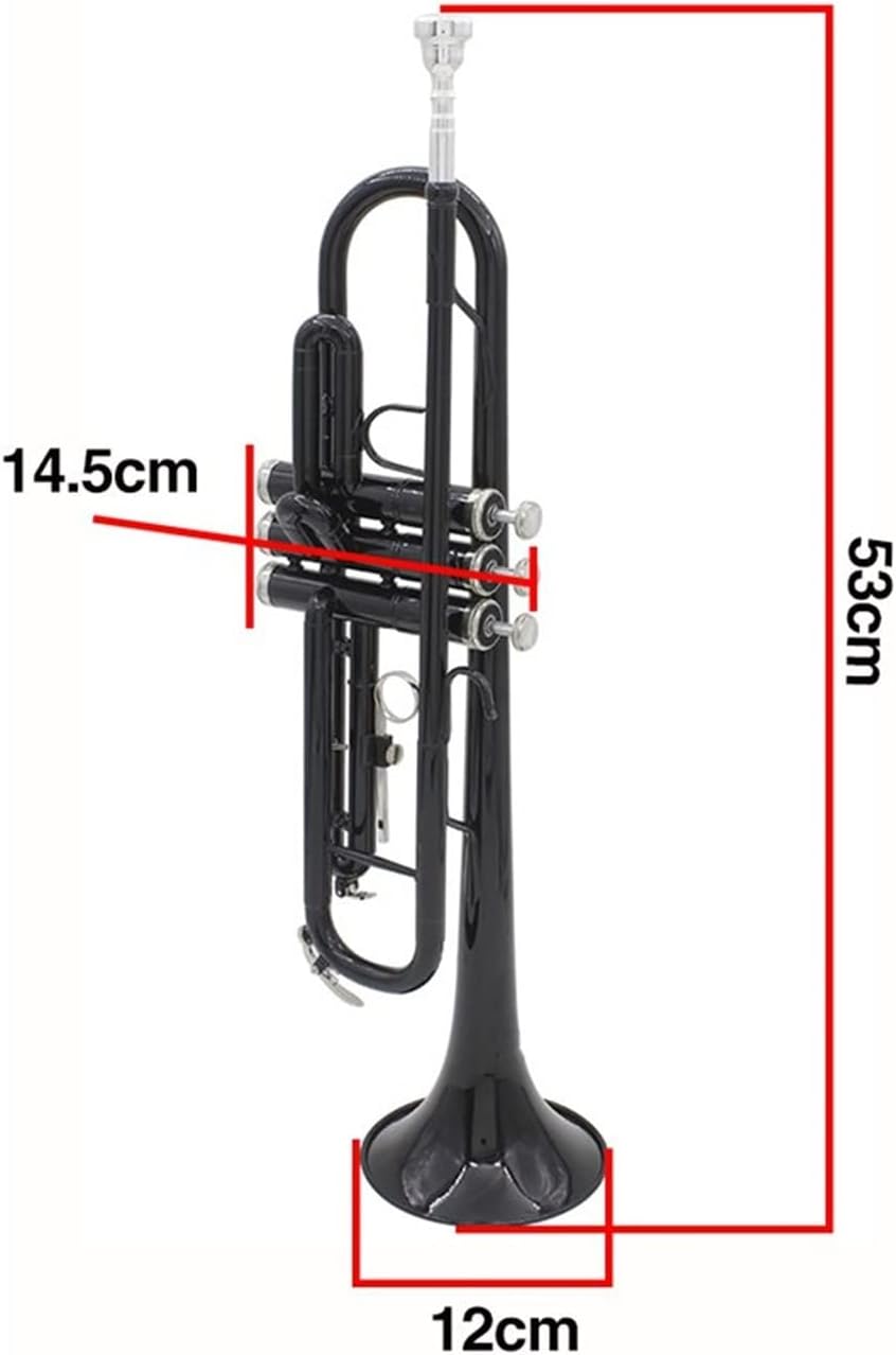 FLFL Student Trumpet Bb B Flat Trumpet Brass with Mouthpiece Carry Bag Tuner Mute Trumpet Stand Gloves Cleaning Tools Wind Instrument (Color : Dark Black)