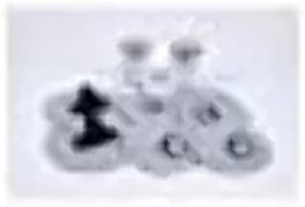 CARVER CSR HYPALON MTG KIT for INFL BIM TOP