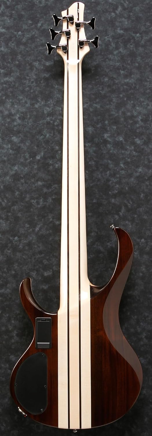 Ibanez BTB745 Standard 5-String Bass Guitar - Natural Low Gloss Bundle with Gig Bag, Strap, Instrument Cable, Austin Bazaar Instructional DVD, and Polishing Cloth