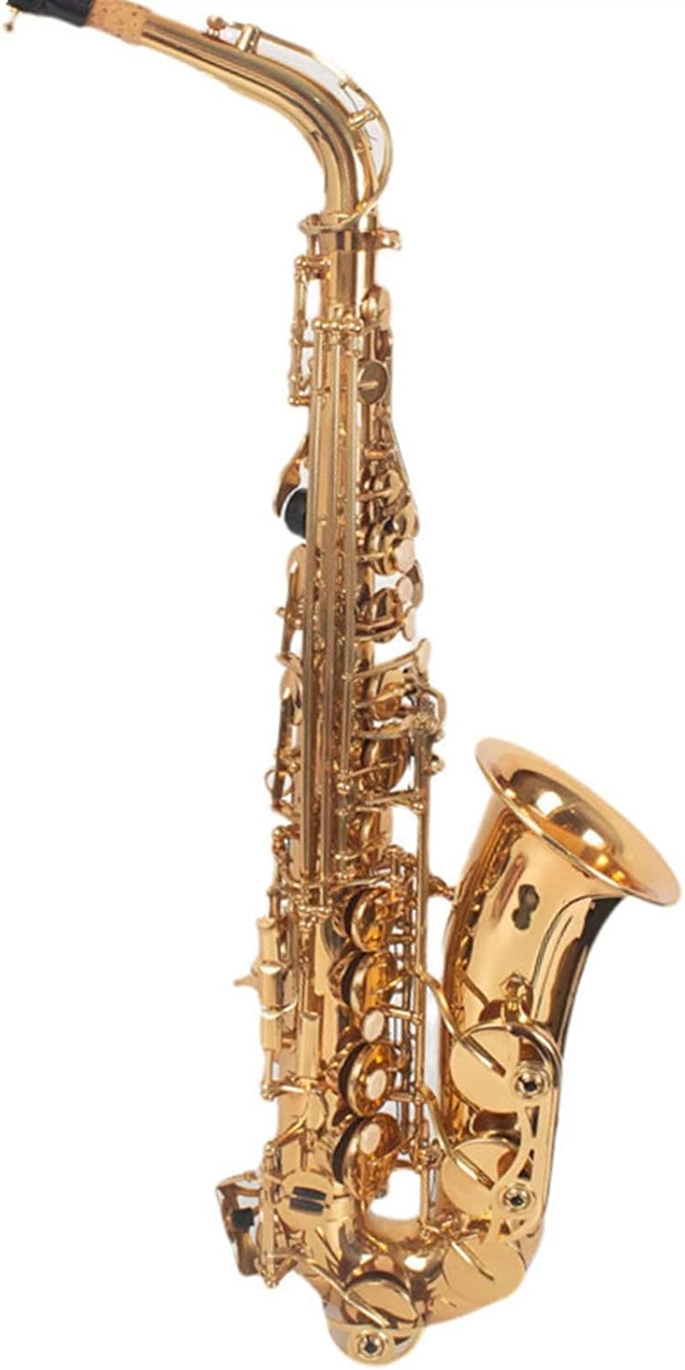 E-Flat EB Alto Saxophone Gold Keys Saxophone Woodwind Instrument with Case