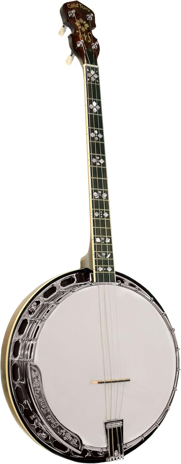 Gold Tone TS-250 Tenor Special Tenor Banjo (Vintage Brown)
