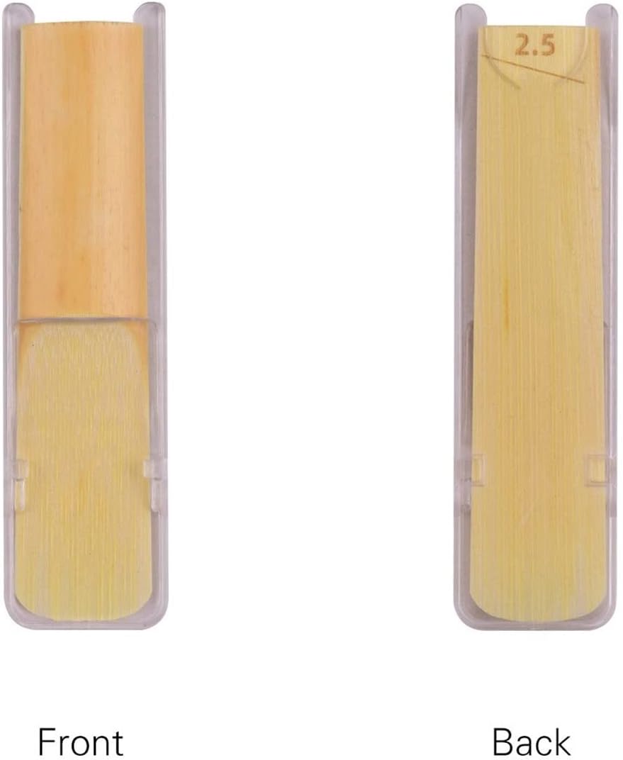 KESHUO C Key Mini Pocket Saxophone Sax ABS Material with Mouthpieces 10pcs Reeds Carrying Bag Woodwind Instrument Brass Sax Beginners Kit