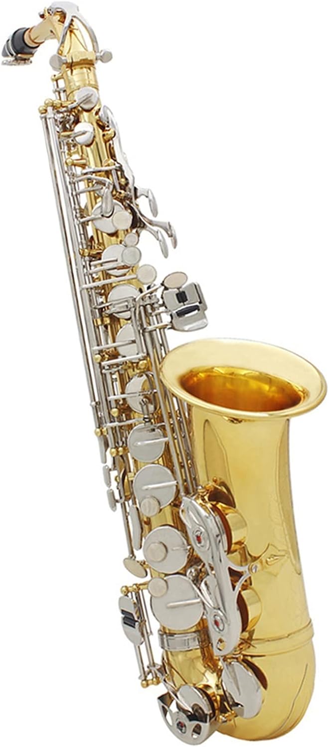 TSTS Alto Saxophone EB Tune Gold Lacquer Silver Key Brass Body Woodwind Instrument Brass Sax Full Kit