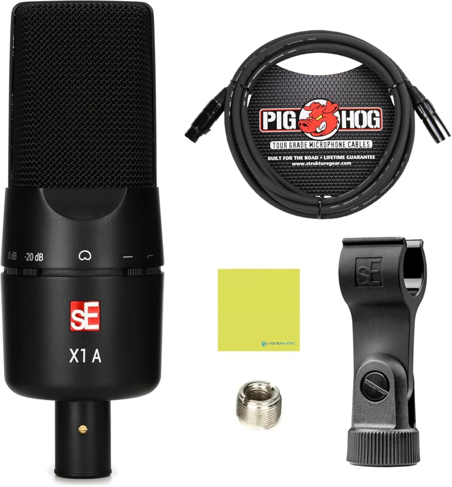 sE Electronics X1 A Large-Diaphragm Condenser Microphone Bundle w/Pig Hog PHM10 8mm Mic Cable Polishing Cloth