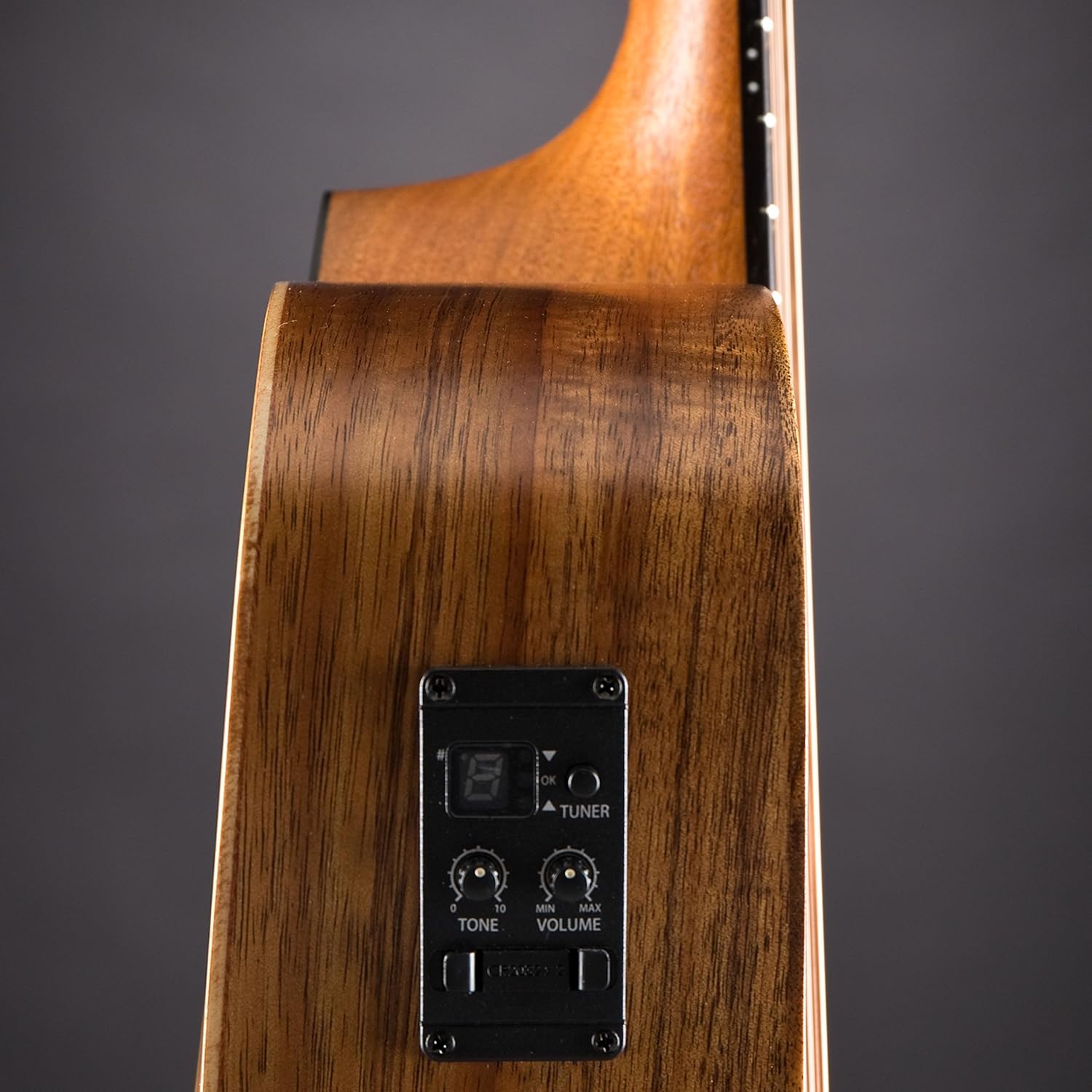 Taylor GS Mini-e Koa