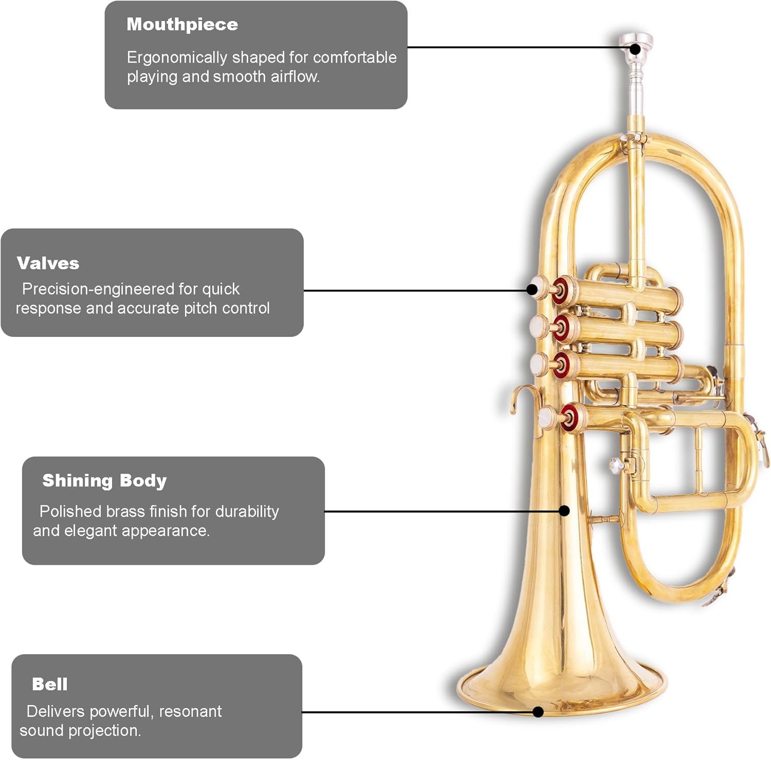 4-Valve Flugelhorn in Bb/F Pitch – Brass Flugel Horn with Mouthpiece & Case | Handcrafted for Jazz, Brass Bands & Orchestras, Gold