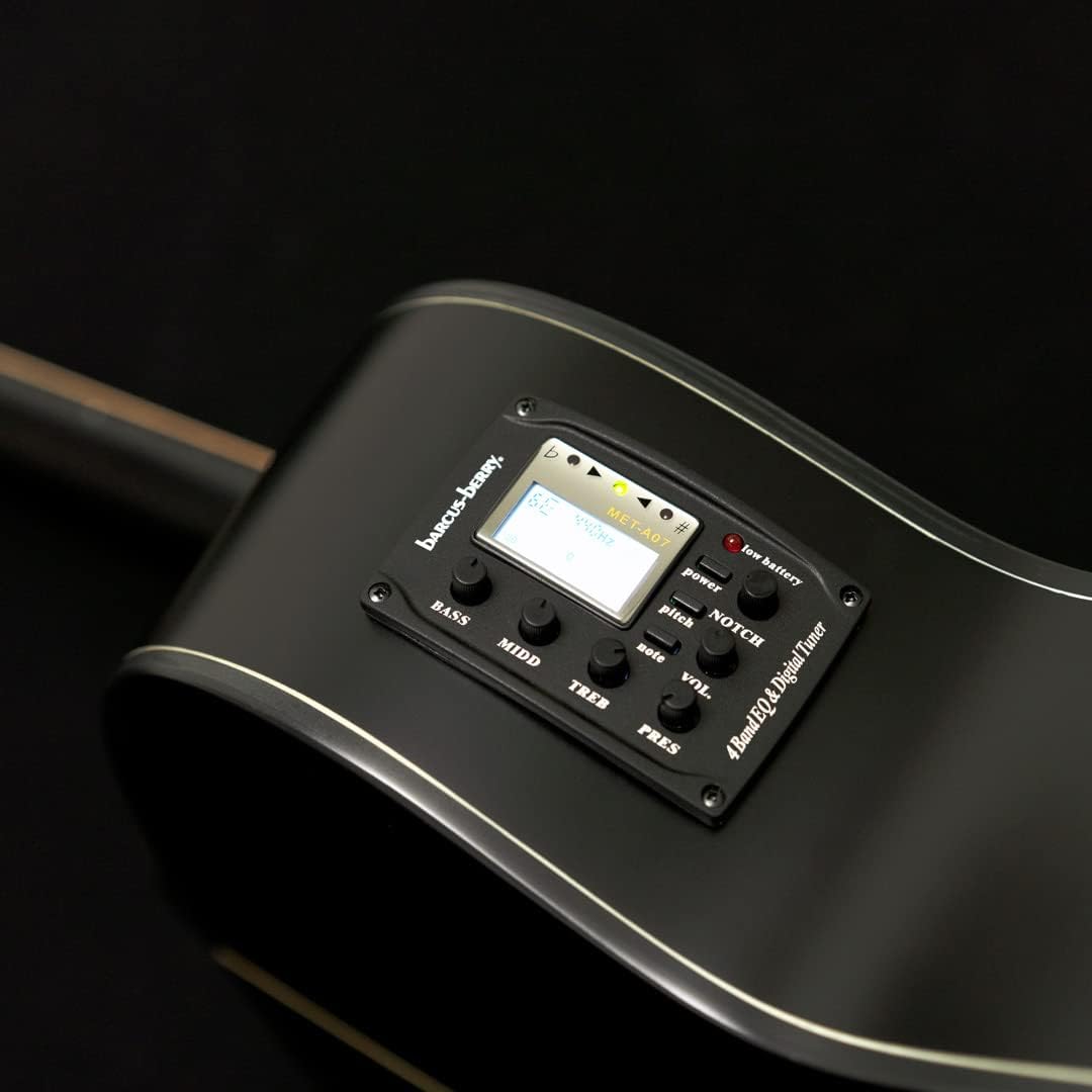 Washburn Deep Forest Ebony FE (DFEFE)