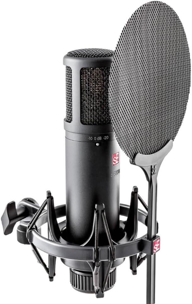 sE Electronics sE2200 Large-Diaphragm Condenser Microphone Bundle w/Pig Hog PHM10 8mm Mic Cable Polishing Cloth