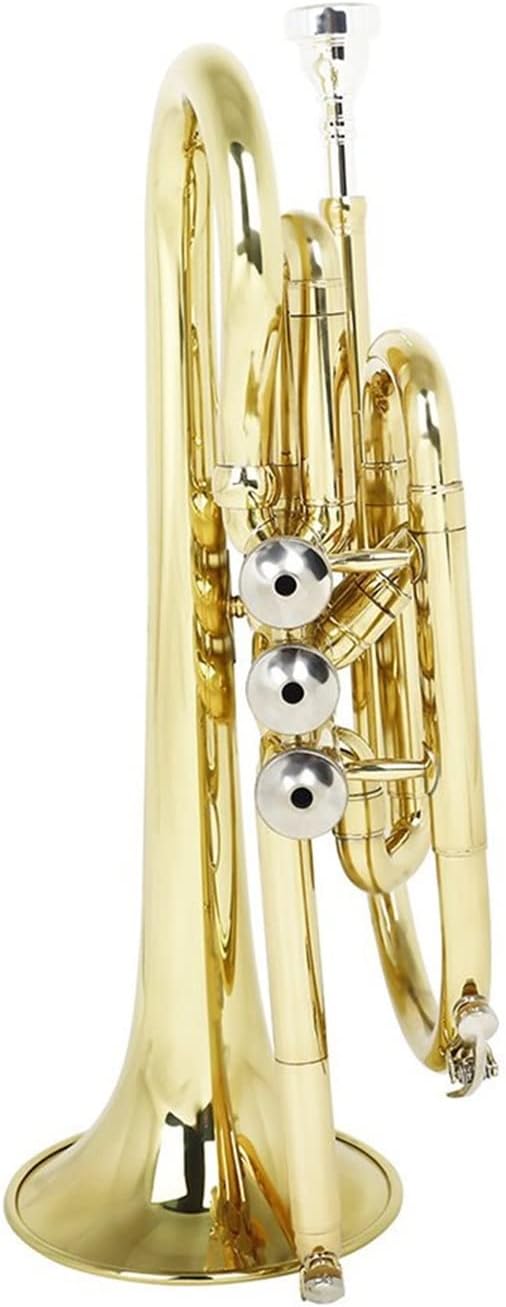 Trumpets Beginner Professional Bb Flat Cornet Brass with Carrying Case Gloves Cleaning Cloth Brushes Wind Instrument Trumpet Set