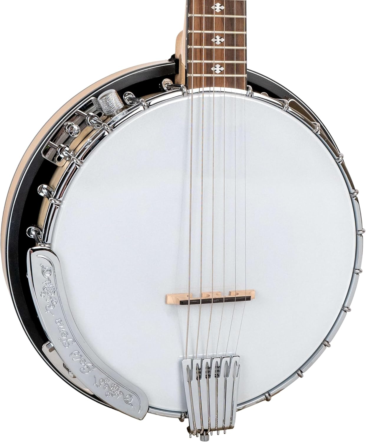 Gold Tone GT-500 Banjitar Banjo (Six String)
