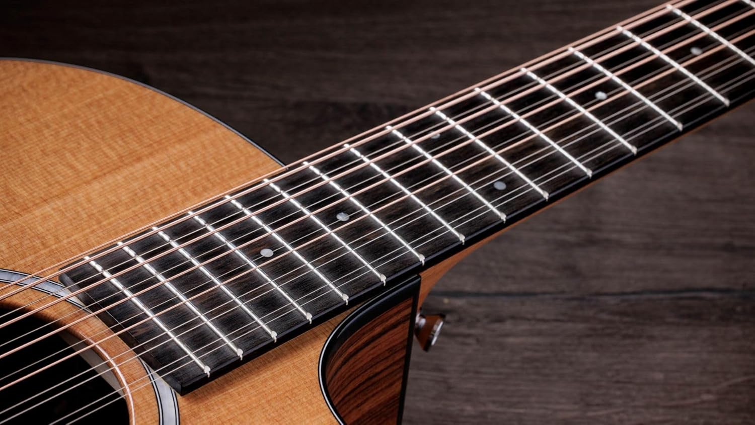 Taylor 254ce Plus 12-string Acoustic-electric Guitar