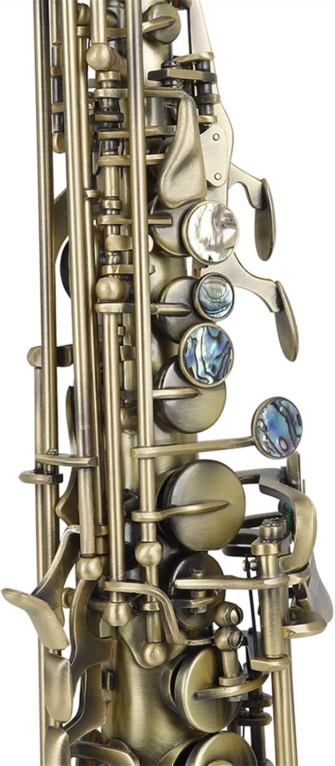 Sax Beginners Kit Cyan Bronze Straight Bb Saxophone Lacquered Gold Carve Pattern Woodwind Instrument with Case Reed Cleaning Brush Cloth Wind Instrument